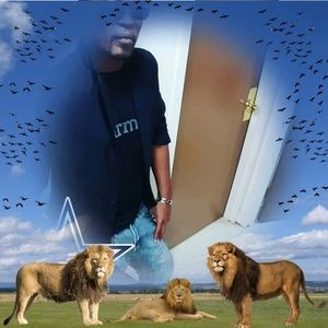 Meet your Posher, Jerry